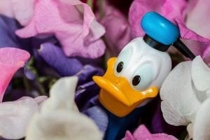 Facts about Donald Duck