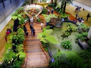 fun facts about singapore airport