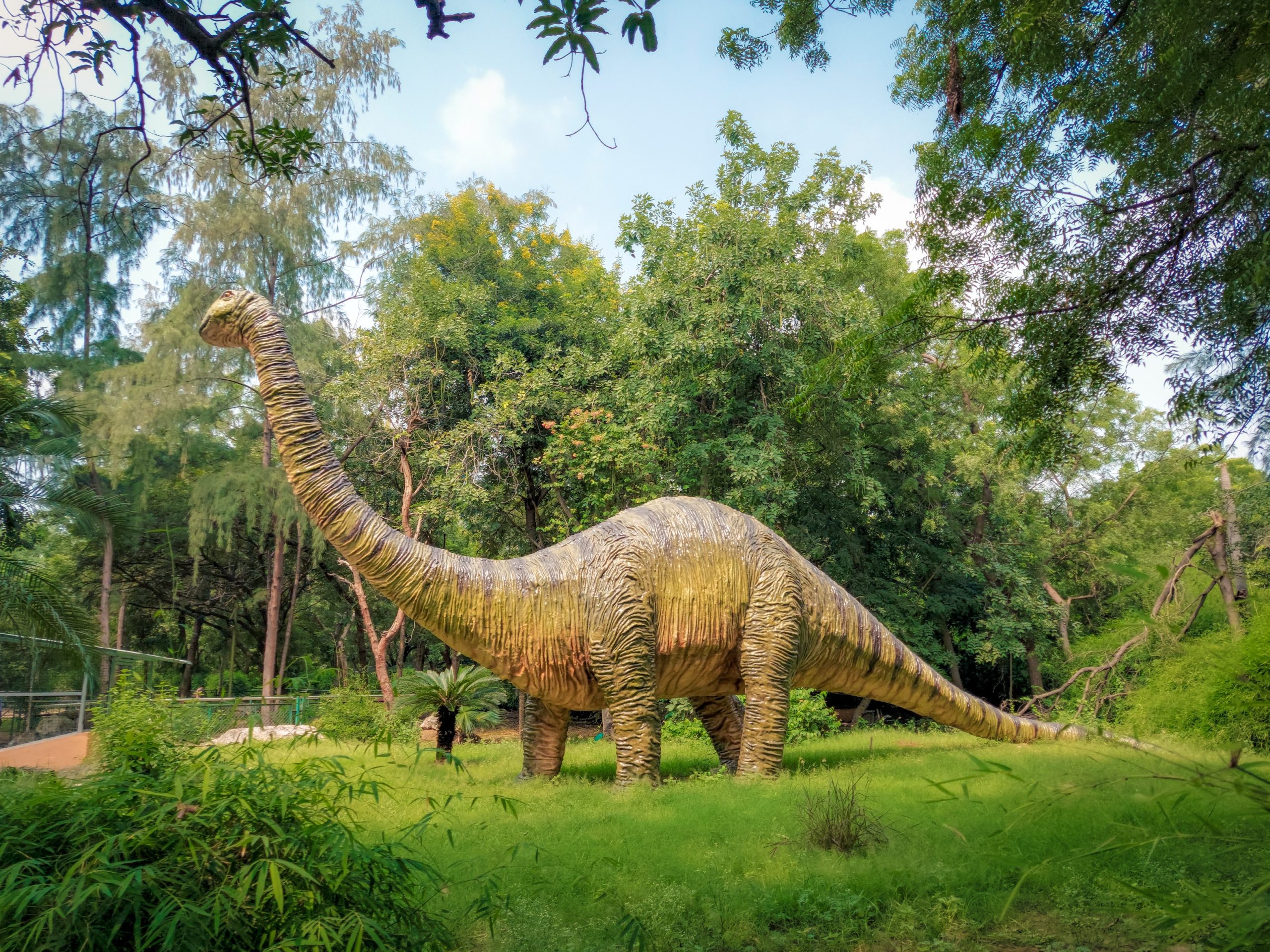 12 Important Facts About Extinction