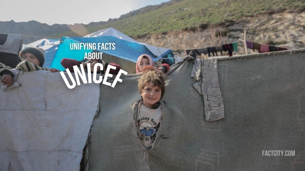 facts about UNICEF header