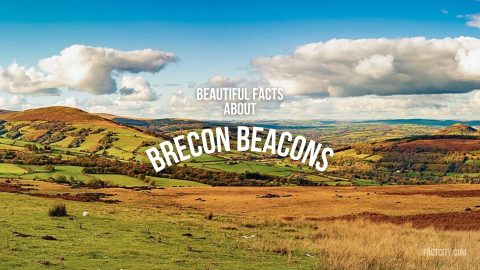 brecon beacons