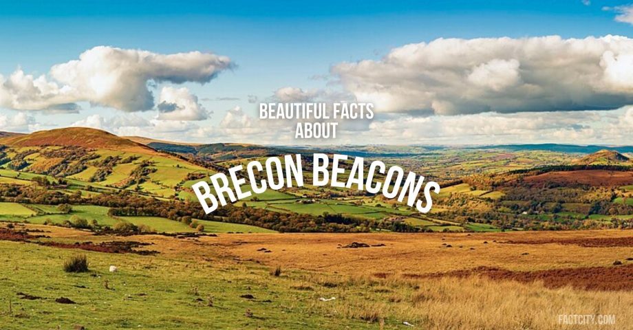 brecon beacons