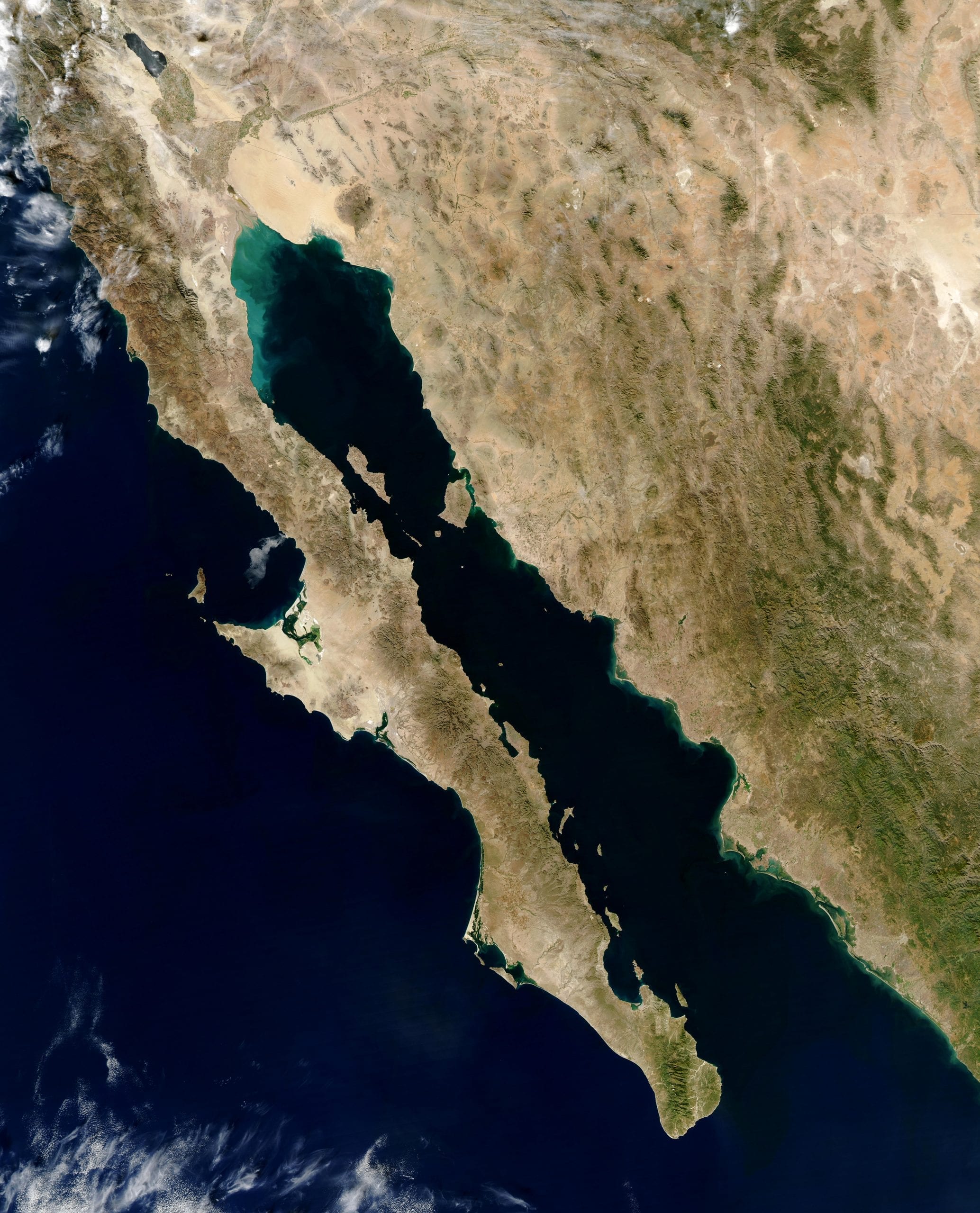 facts about the gulf of california