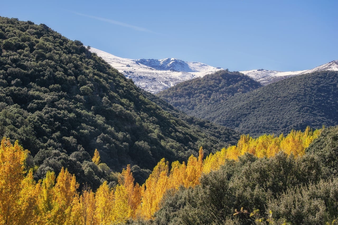 12 Special Facts about Sierra Nevada - Fact City