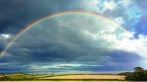 rainbow 1909 1920