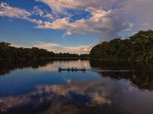 fun facts about the amazon rainforest