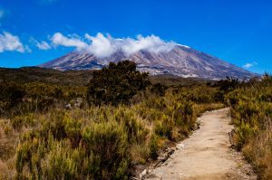 Facts about Kilimanjaro, Tanzania