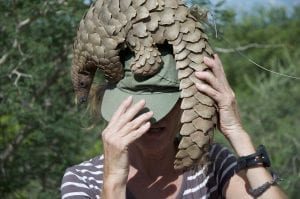 facts about pangolin