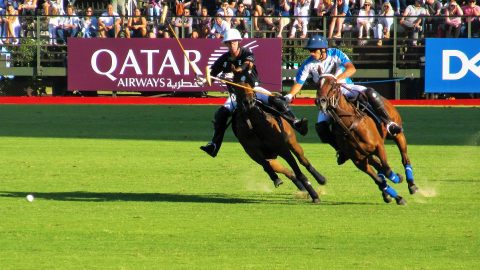 Players in a match of Polo