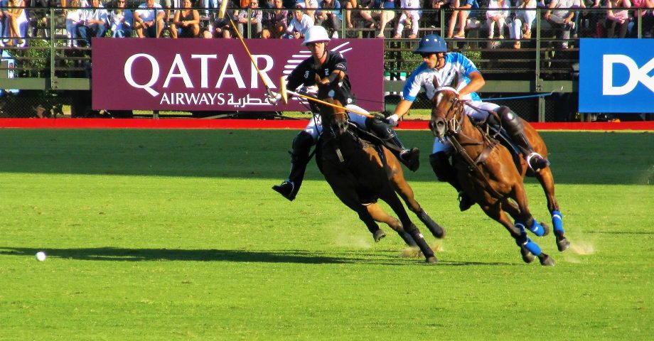 Players in a match of Polo