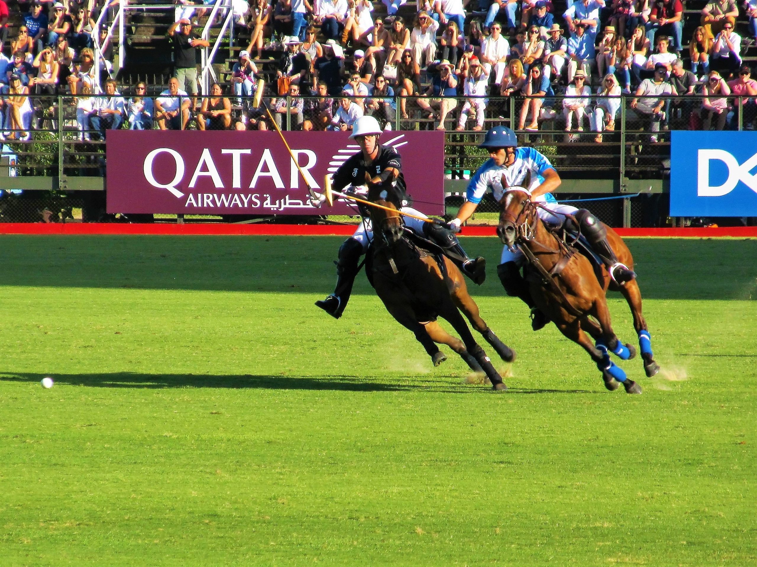 15 Passionate Facts About Polo
