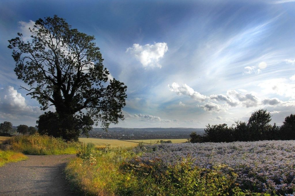 interesting facts about bedfordshire