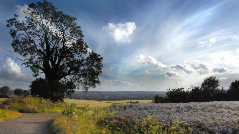 interesting facts about bedfordshire