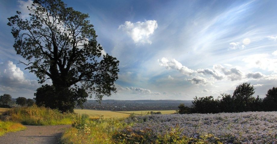 interesting facts about bedfordshire