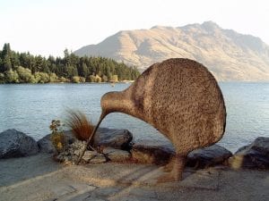 A Kiwi - a flightless bird