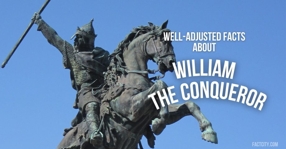 william the conqueror header