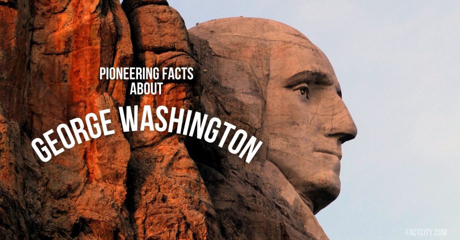 george washington header