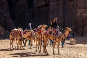 intesting facts about Petra