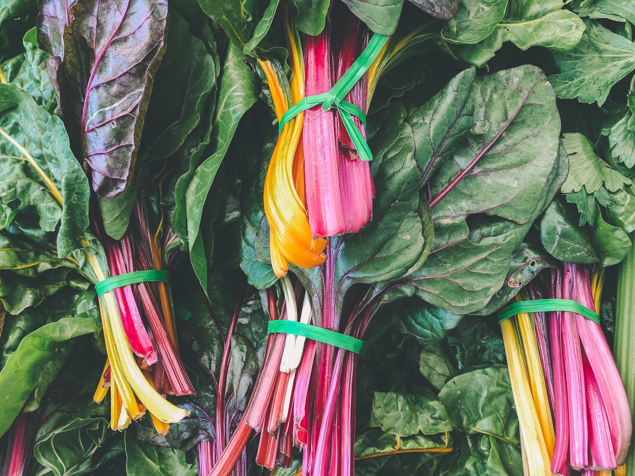 7 Amazing Facts About Leafy Greens Everyone Needs to Know