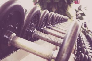 a row of dumbbells 