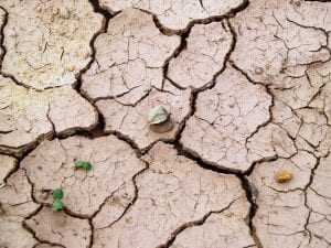 Cracked dry soil