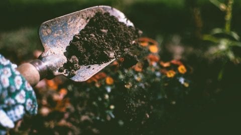 facts about soil