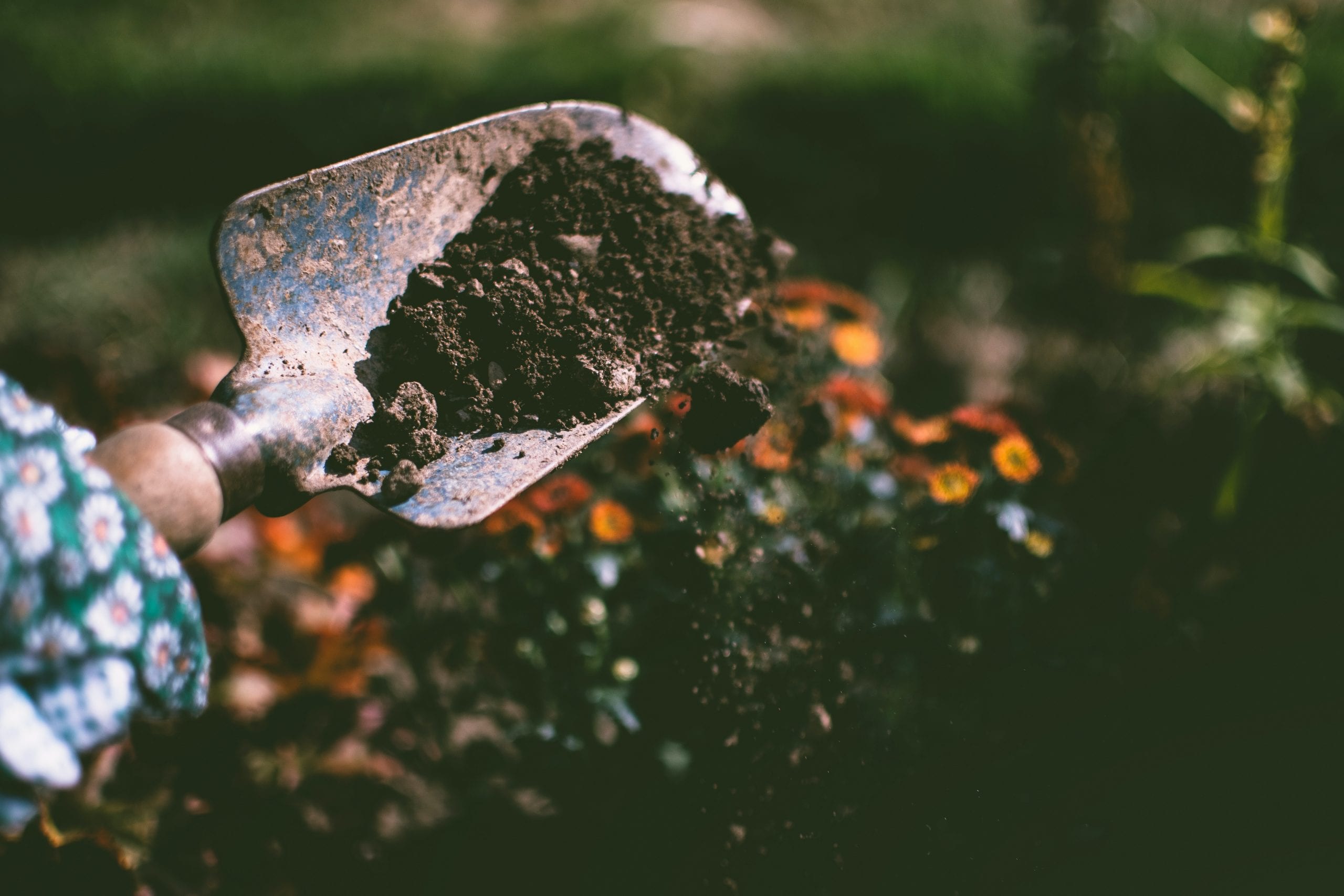 15 Unearthed Facts About Soil