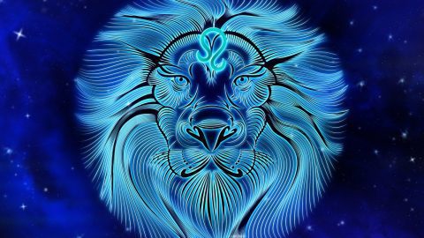 Fun Facts about the Leo Star Sign