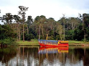 Demerara River