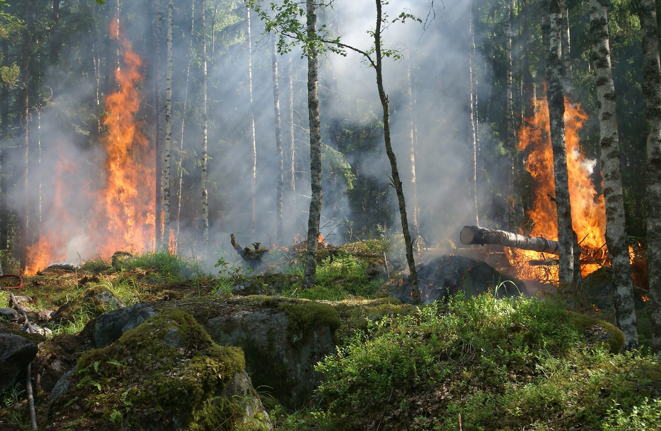 27 Alarming Facts About Global Warming