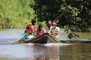 interesting facts about Guyana