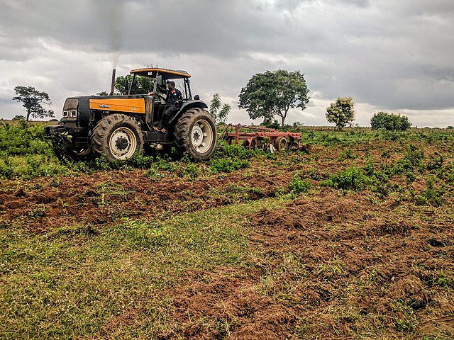 Niger agriculture