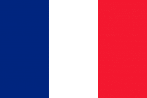 The French national flag, the 'Tricolour' in blue, white and red.