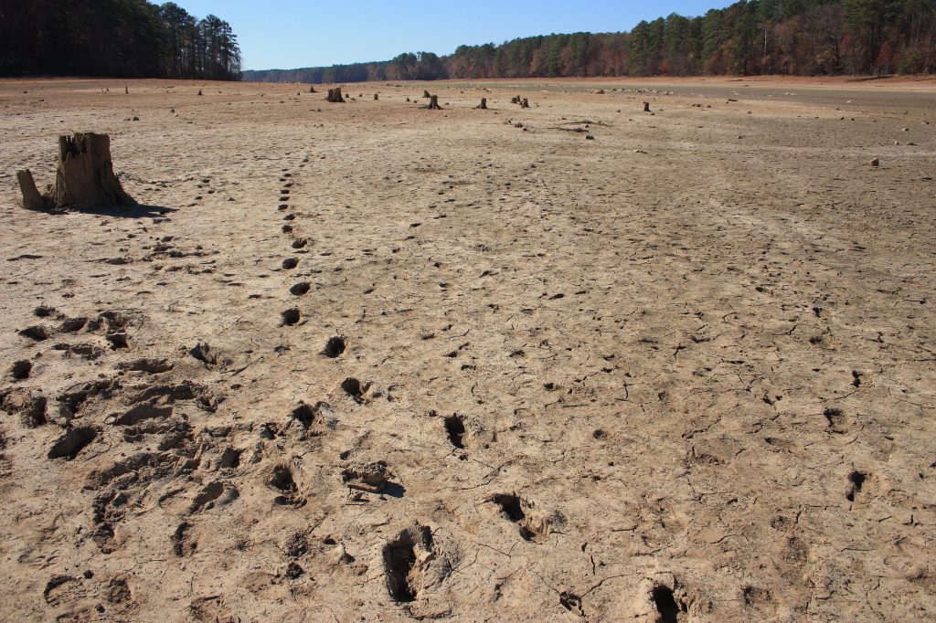 cracked soil brought about by drought