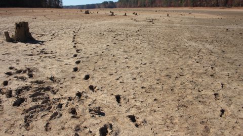 cracked soil brought about by drought