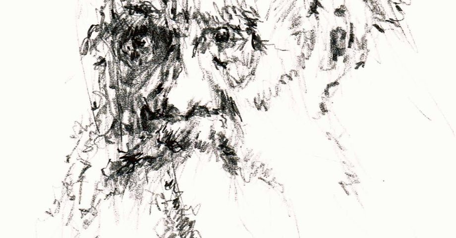 Sketch of Leo Tolstoy