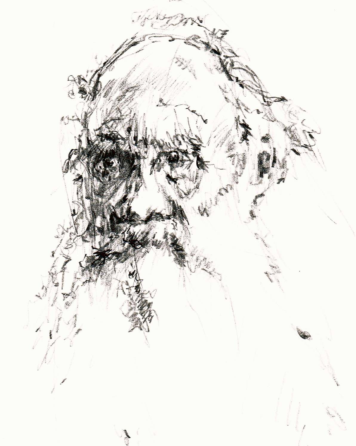 12 Top Facts About Leo Tolstoy