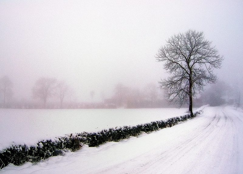 freezing fog