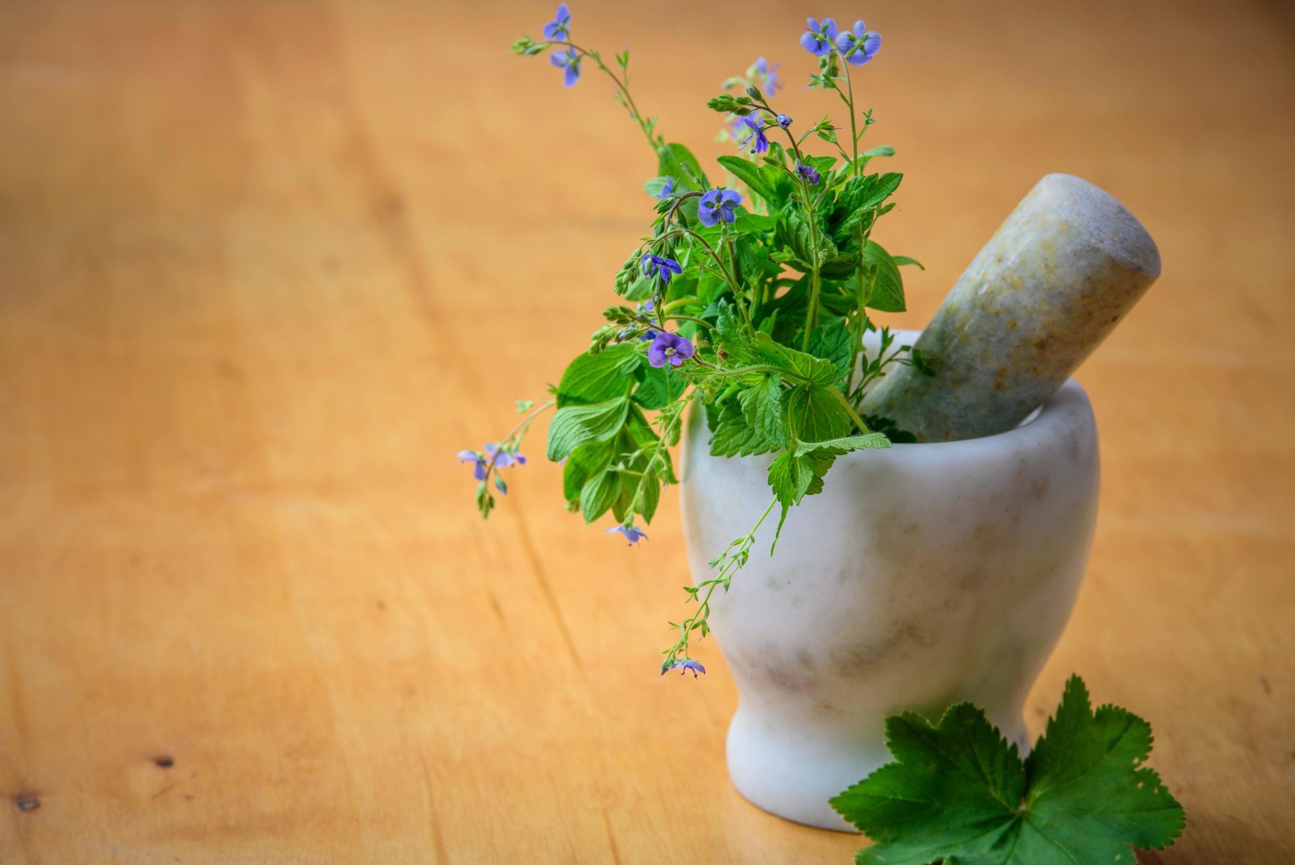 20 Holistic Facts About Homeopathy