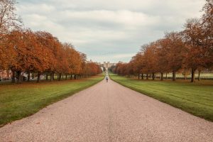 Home Park, WIndsor Castle