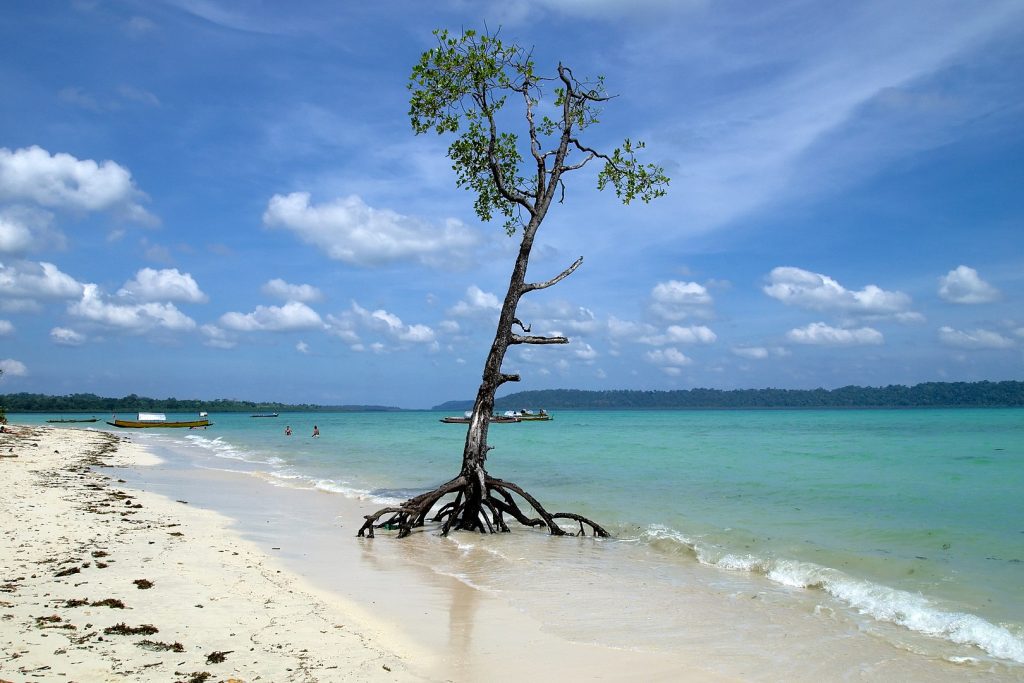 Havelock Island, Andaman Sea, Andaman and Nicobar Islands, India