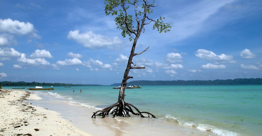 Havelock Island, Andaman Sea, Andaman and Nicobar Islands, India