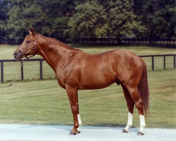 Secretariat ran for glory!