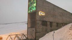 The Seed Vault