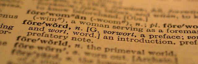 Webster's Ghost Word