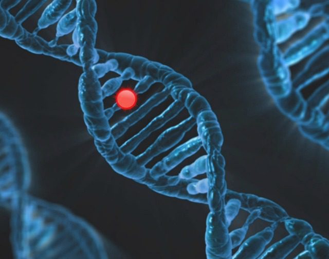 On this day, February 28th, DNA was discovered