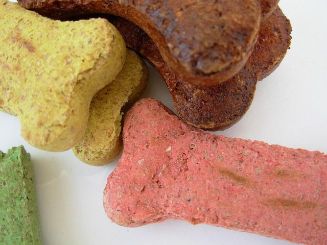 National Dog Biscuit Day