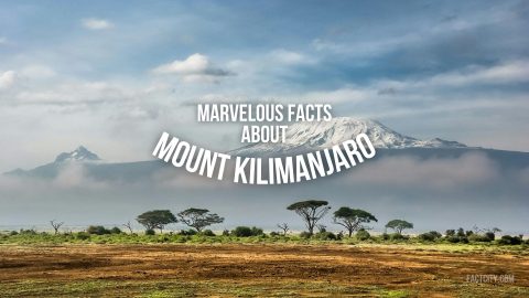 facts about mount kilimanjaro