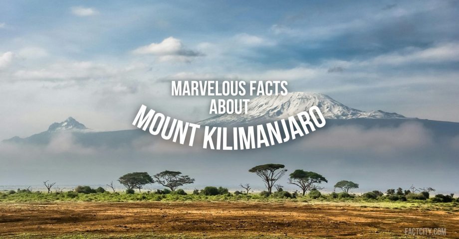 facts about mount kilimanjaro