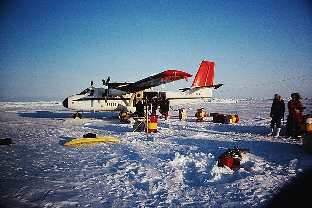 On the arctic